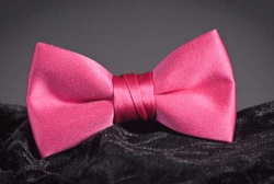 Pink bow