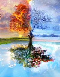 Tree mirrored in water showing all four seasons